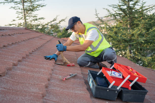 Best Roof Gutter Cleaning  in Wind Gap, PA